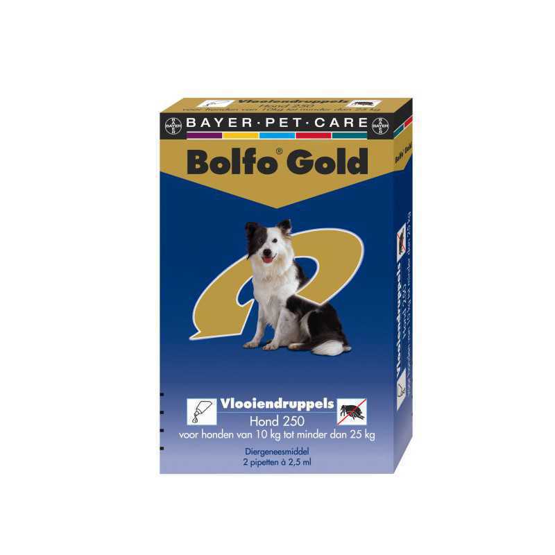 Bolfo Gold Hond 250 &gt10 kg