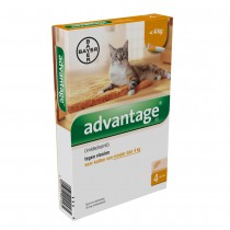 Advantage 40 kat